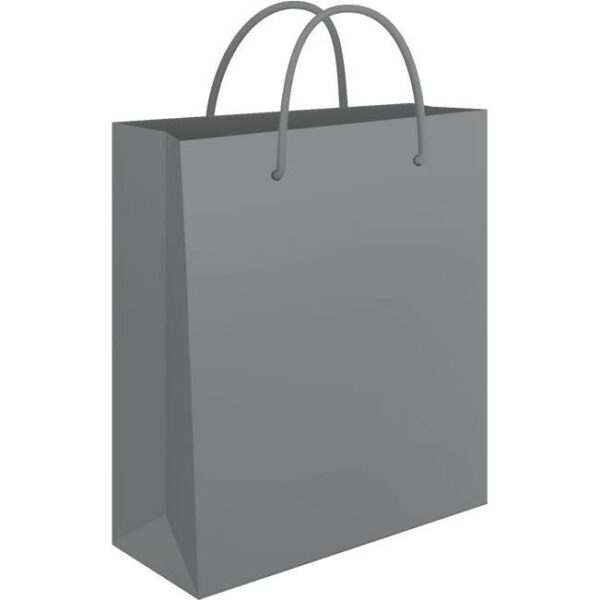 Vrećice ukrasne 24x39x9cm sjajna plastifikacija Fornax srebrne, 000005764