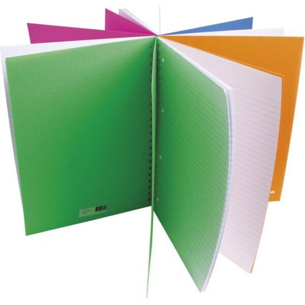 Blok kolegij A4 crte 100L perforacija+4rupe Neon Connect sortirano, 000011412
