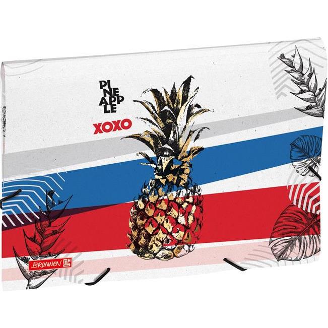 Mapa za kućni budžet 12 pregrada s gumicom A4 Reverse 19 Pineapple Brunnen 10-20240 651