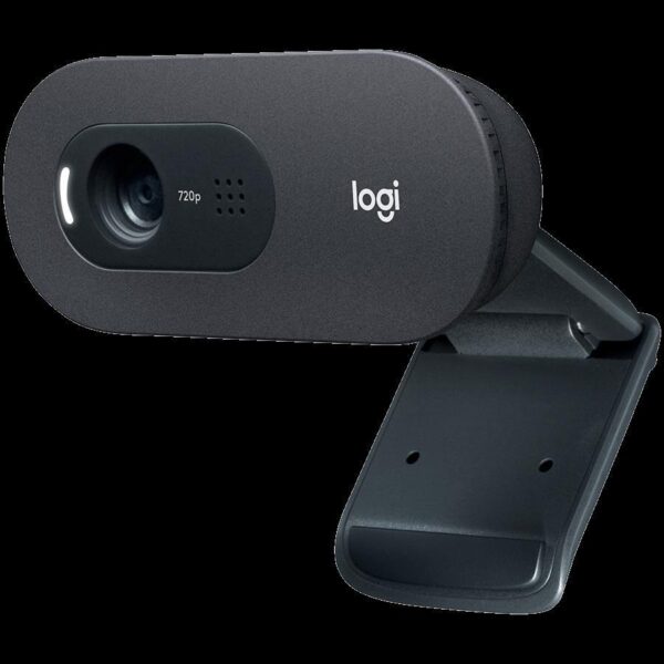 WEB kamera Logitech C505 HD, 960-001364 - Slika 2