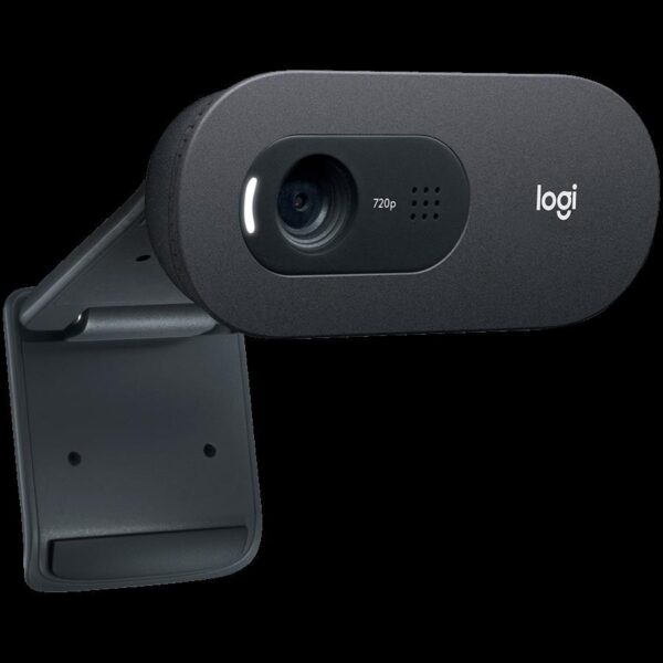 WEB kamera Logitech C505 HD, 960-001364 - Slika 3