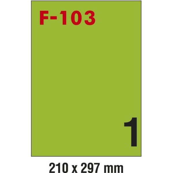 Etikete ILK 210x297mm pk100L Fornax F-103 zelene