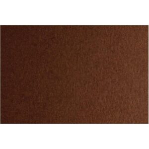 Papir u boji B1 200g Bristol Color pk10 Connect 43A smeđi