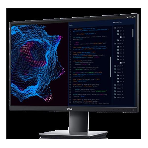 Dell Flat Panel 24" P2421, 16:10 1920x1200