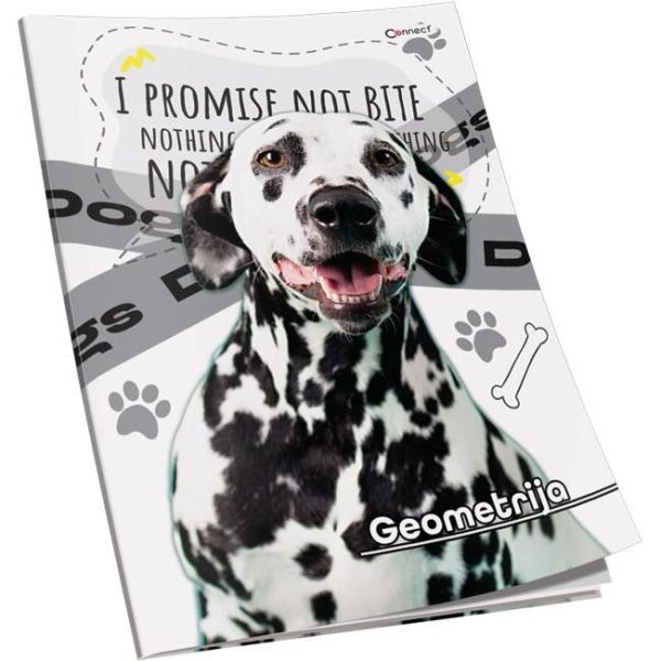 Obrazac školski geometrija Premium Connect Girl, 000003877