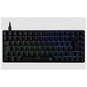 White Shark Tipkovnica GK-005122 HAMACHI Mehanicka RGB / HR - BLUE SW.