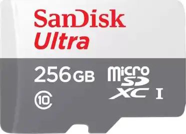 SanDisk Ultra microSD card without adapter - 256GB