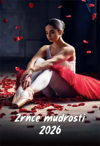 Kalendar "Godina mudrosti" 13 listova, spirala, 000041749