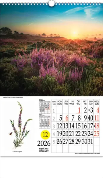 Kalendar "Ljekovito bilje" s rotacijskim krugom, spirala, 000000585