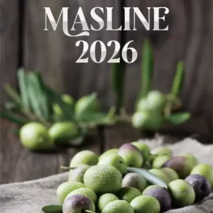 Kalendar "Masline 2026" 13 listova, spirala, 000010731