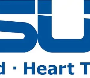 ASUS NUC15 accessory/NUCIOALASCR/2nd 2.5GbE LAN Expansion with RS232 Serial Port 90MA0000-P00970