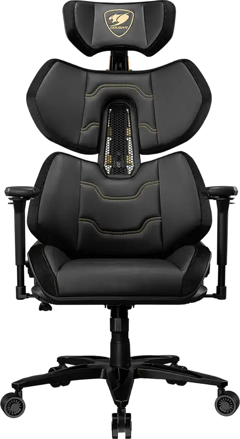 COUGAR TERMINATOR ELITE Gaming chair, Gold CGR-TRE-GLB - Slika 3