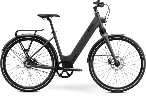 MS ENERGY eBike c300