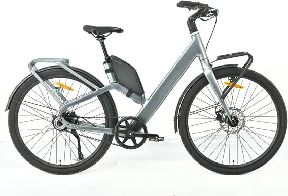 MS ENERGY eBike Veles Plus special gold